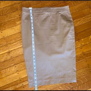 Body by Victoria skirt